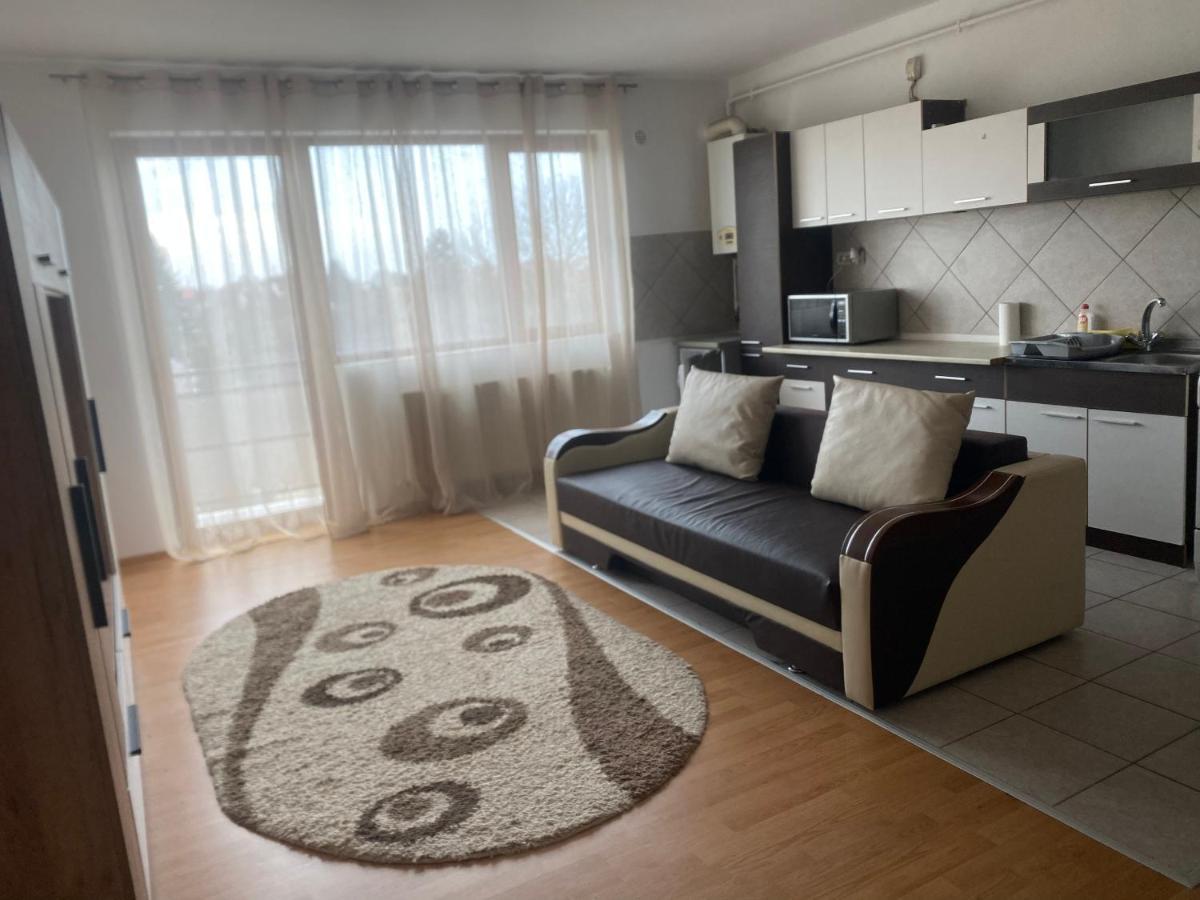 2Br Cosy Apart Satu Mare Bagian luar foto